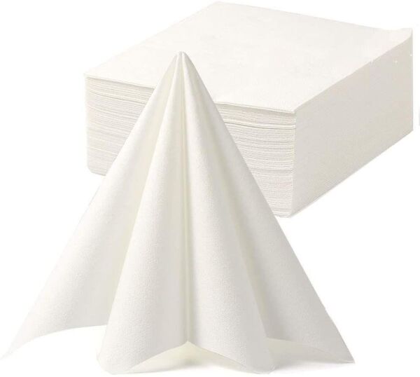 TEK KULLANIMLIK HAVLU PK:100 LÜ SPES