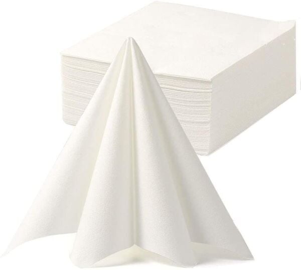 TEK KULLANIMLIK HAVLU PK:100 LÜ SPES