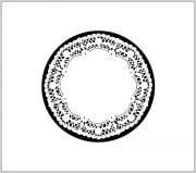 DOLE 18 CM 7,5'' 100'LÜ PK DOLPHİN