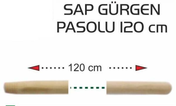 SAP GÜRGEN PASOLU 120 CM